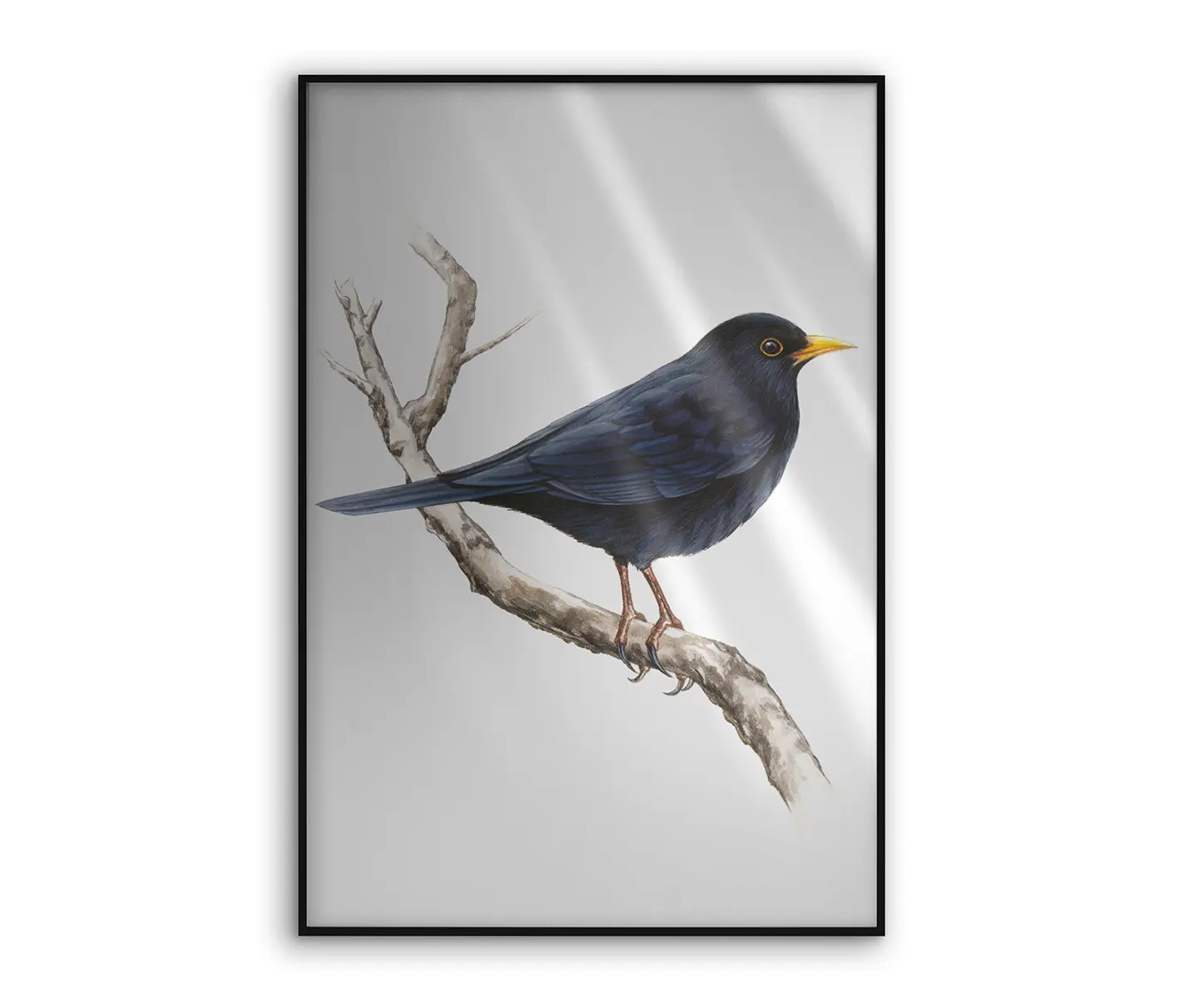 NC Design Group® - Allurex | NCD-SLU13-AL