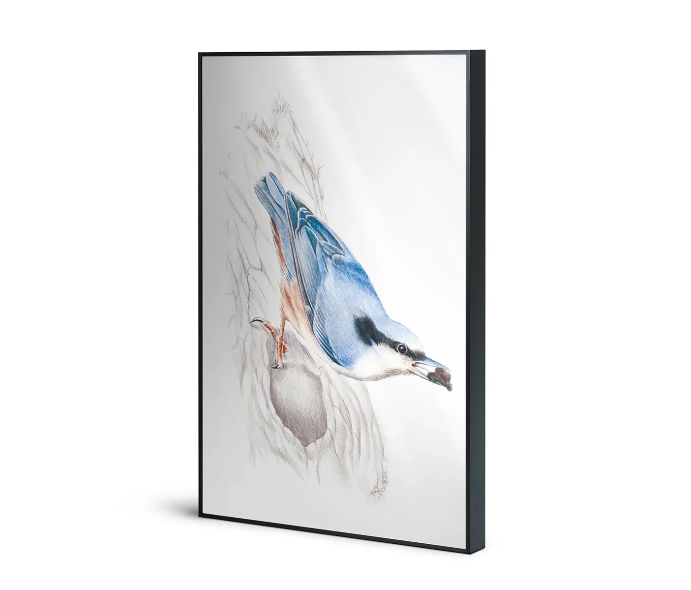 NC Design Group® - Allurex | NCD-SLU15-AL