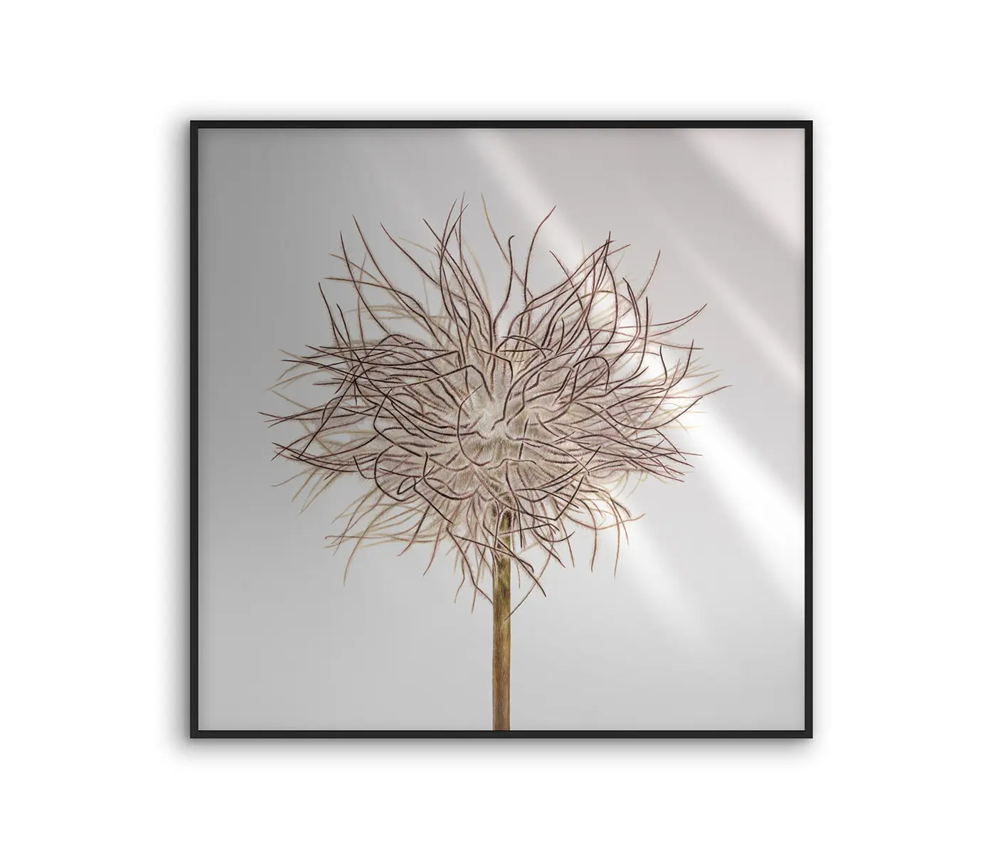 NC Design Group® - Allurex | NCD-SLU17-AL