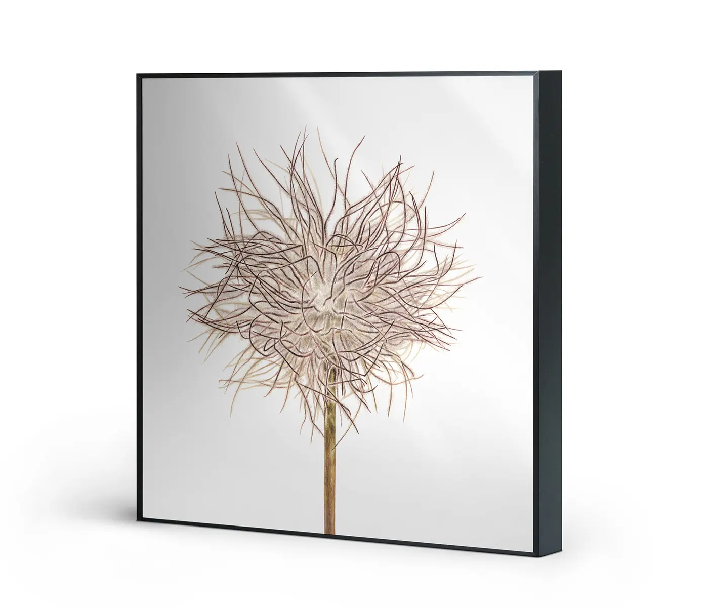 NC Design Group® - Allurex | NCD-SLU17-AL