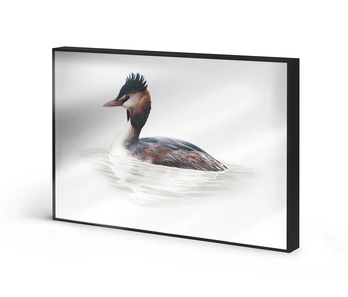 NC Design Group® - Allurex | NCD-SLU18-AL