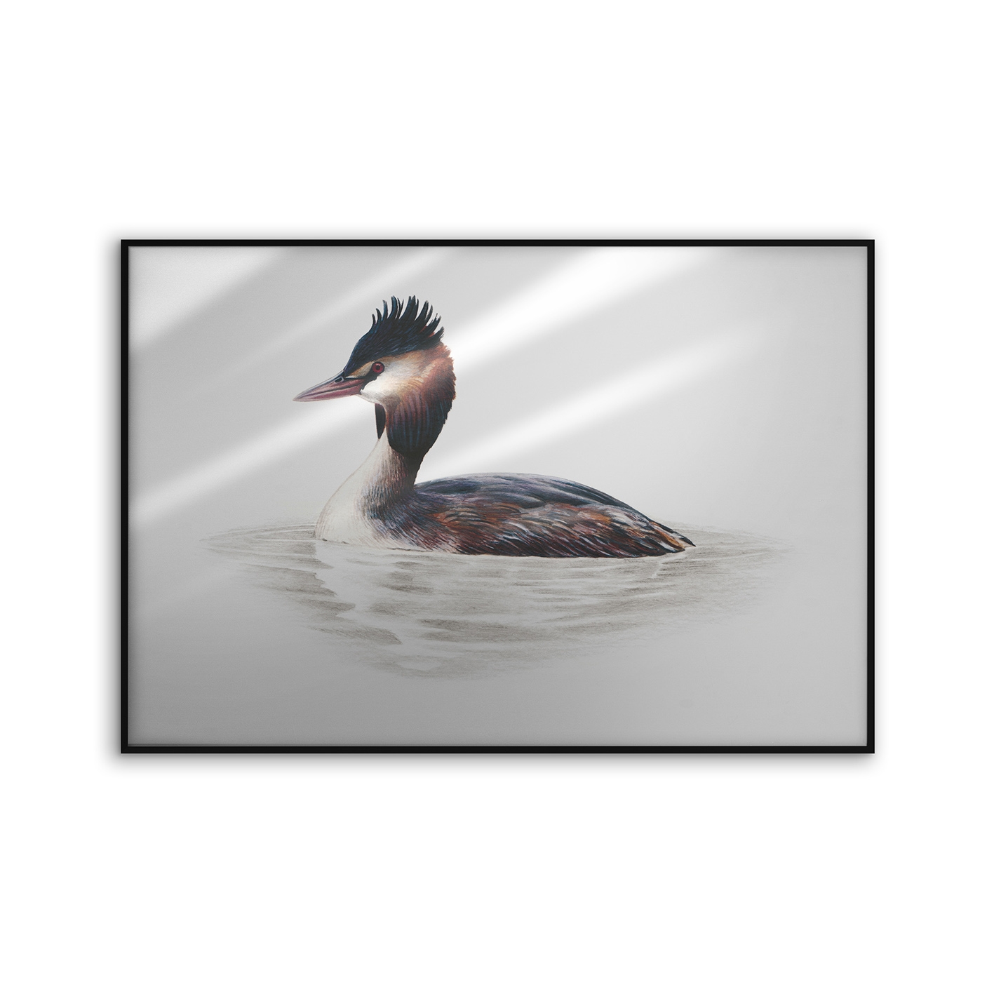 Allurex | NCD-SLU18-AL