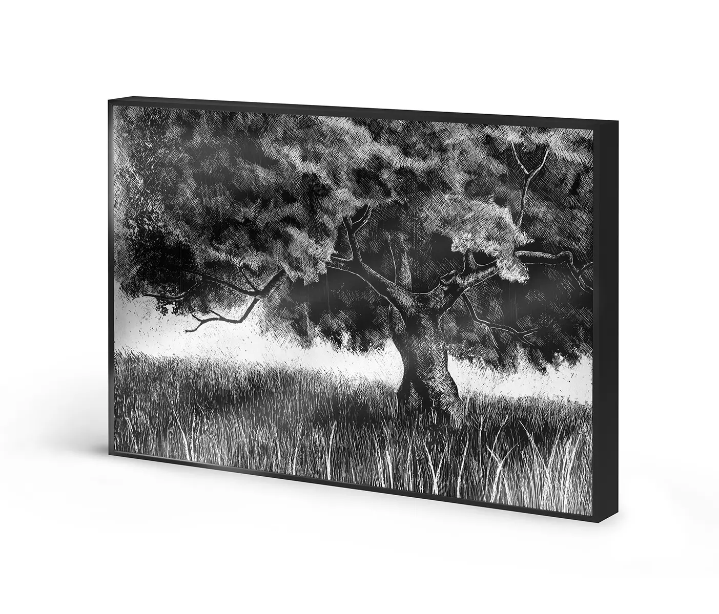 NC Design Group® - Allurex | NCD-SPR04-AL
