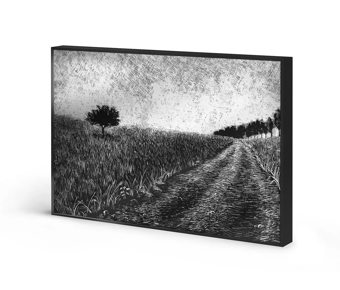 NC Design Group® - Allurex | NCD-SPR05-AL