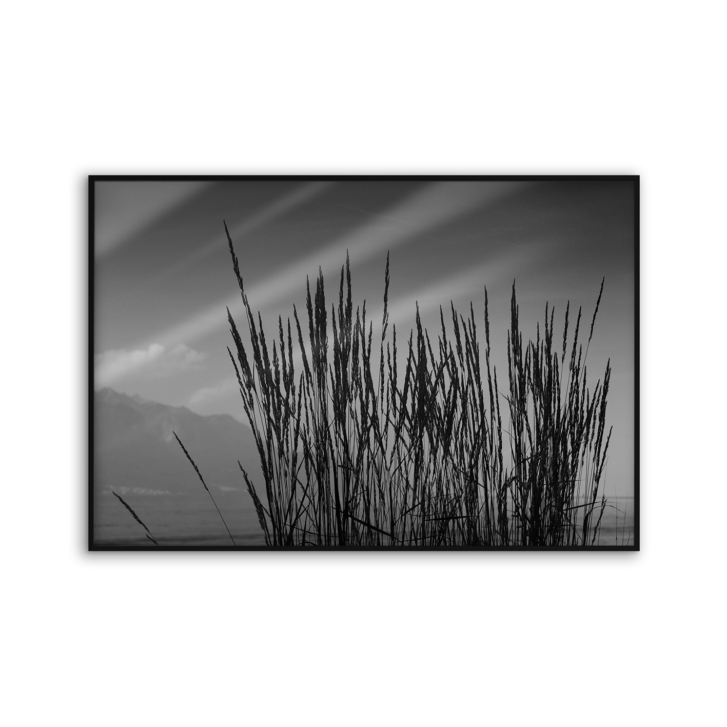 Allurex | NCD-TBK01-AL