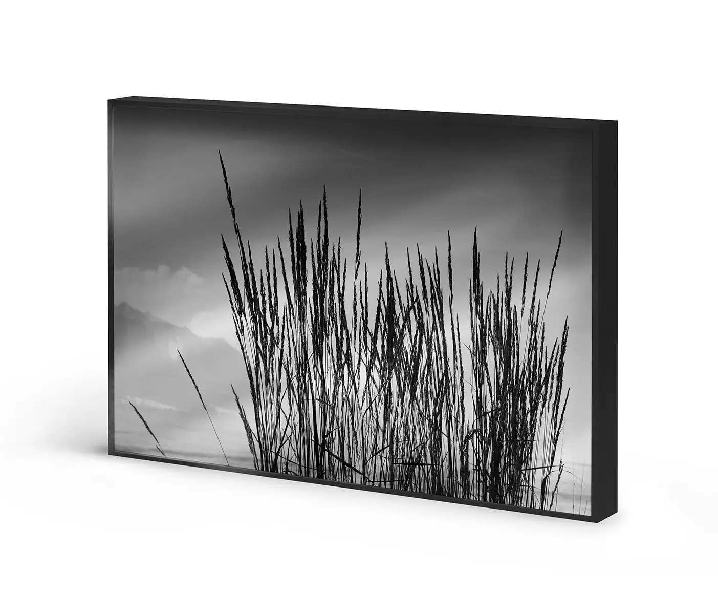 NC Design Group® - Allurex | NCD-TBK01-AL