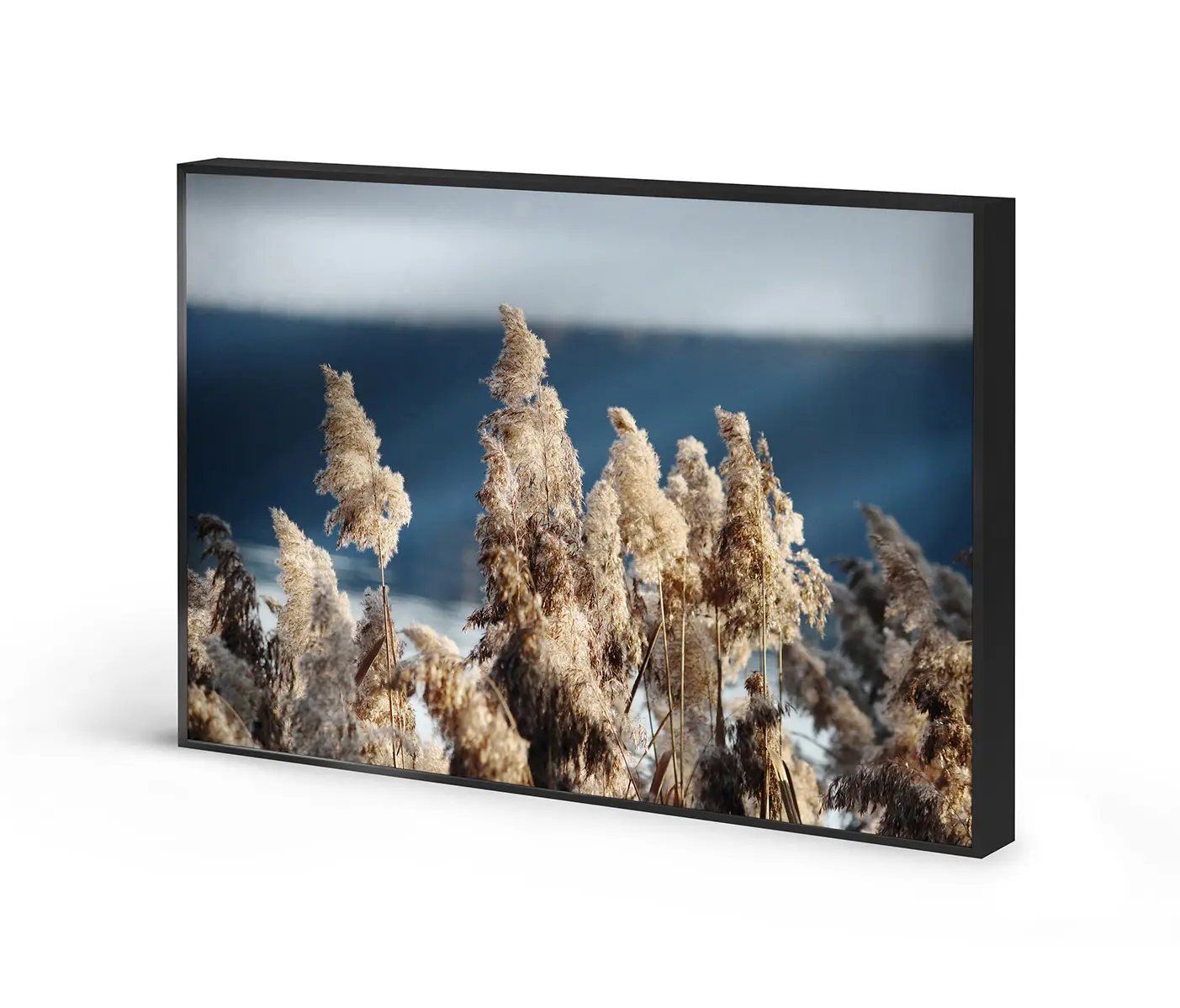 NC Design Group® - Allurex | NCD-TBK09-AL