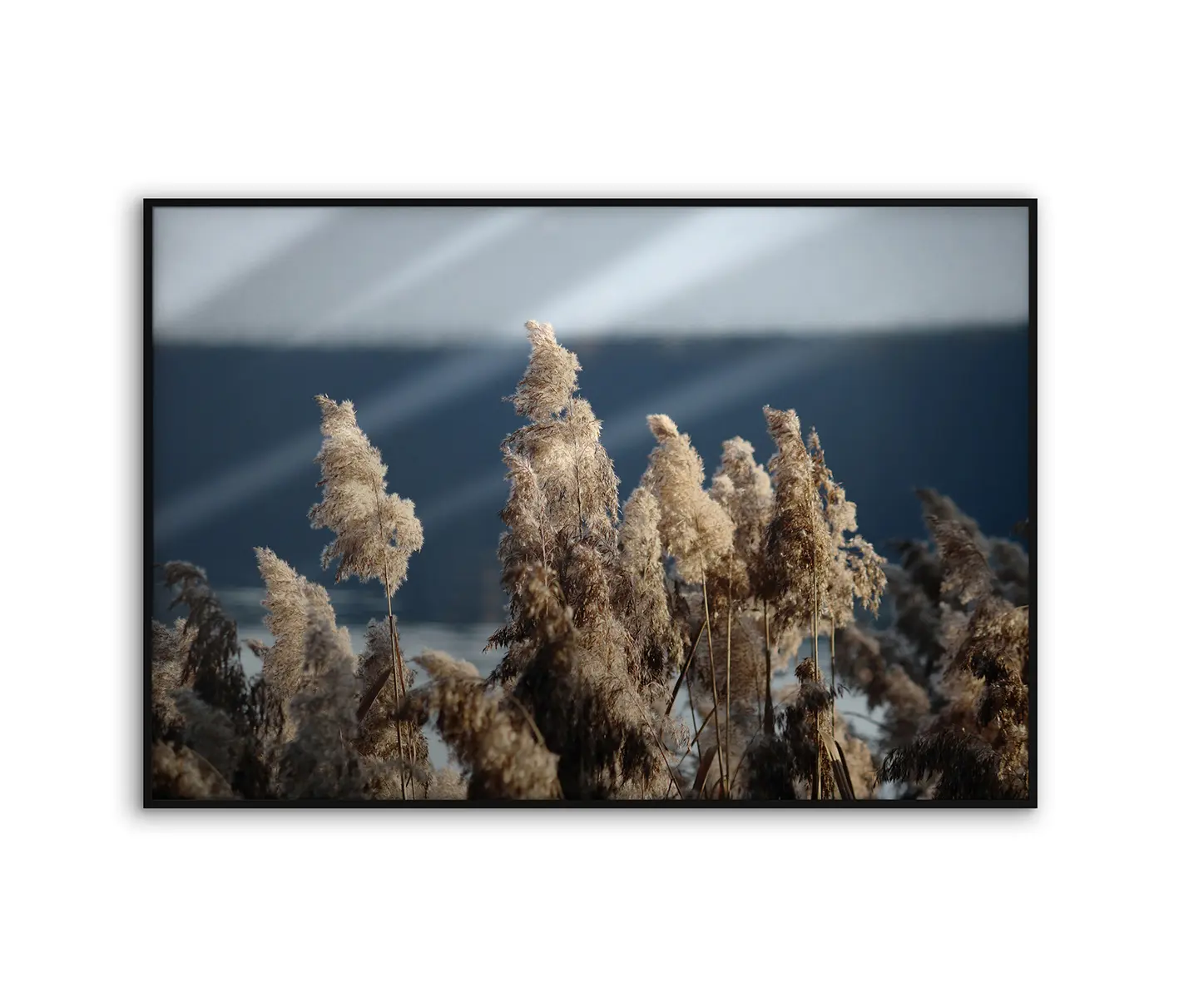 NC Design Group® - Allurex | NCD-TBK09-AL