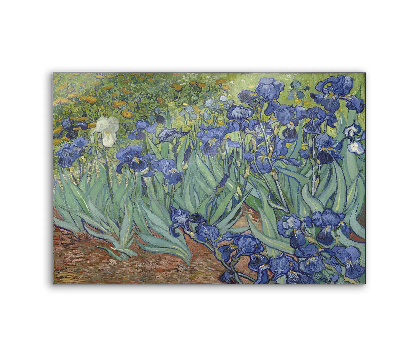 NC Design Group® - Lumaframe | NCD-BGM12-LU