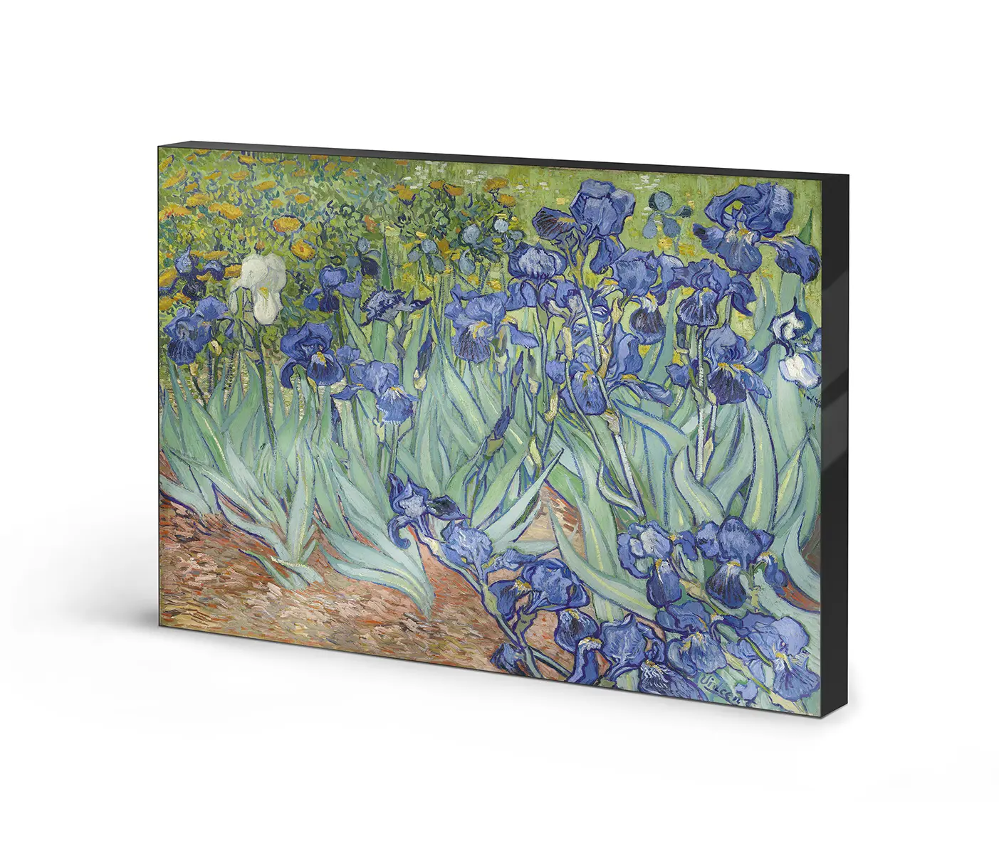 NC Design Group® - Lumaframe | NCD-BGM12-LU