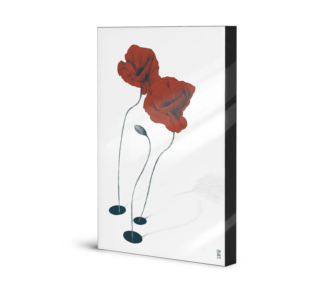 NC Design Group® - Lumaframe | NCD-CCS09-LU