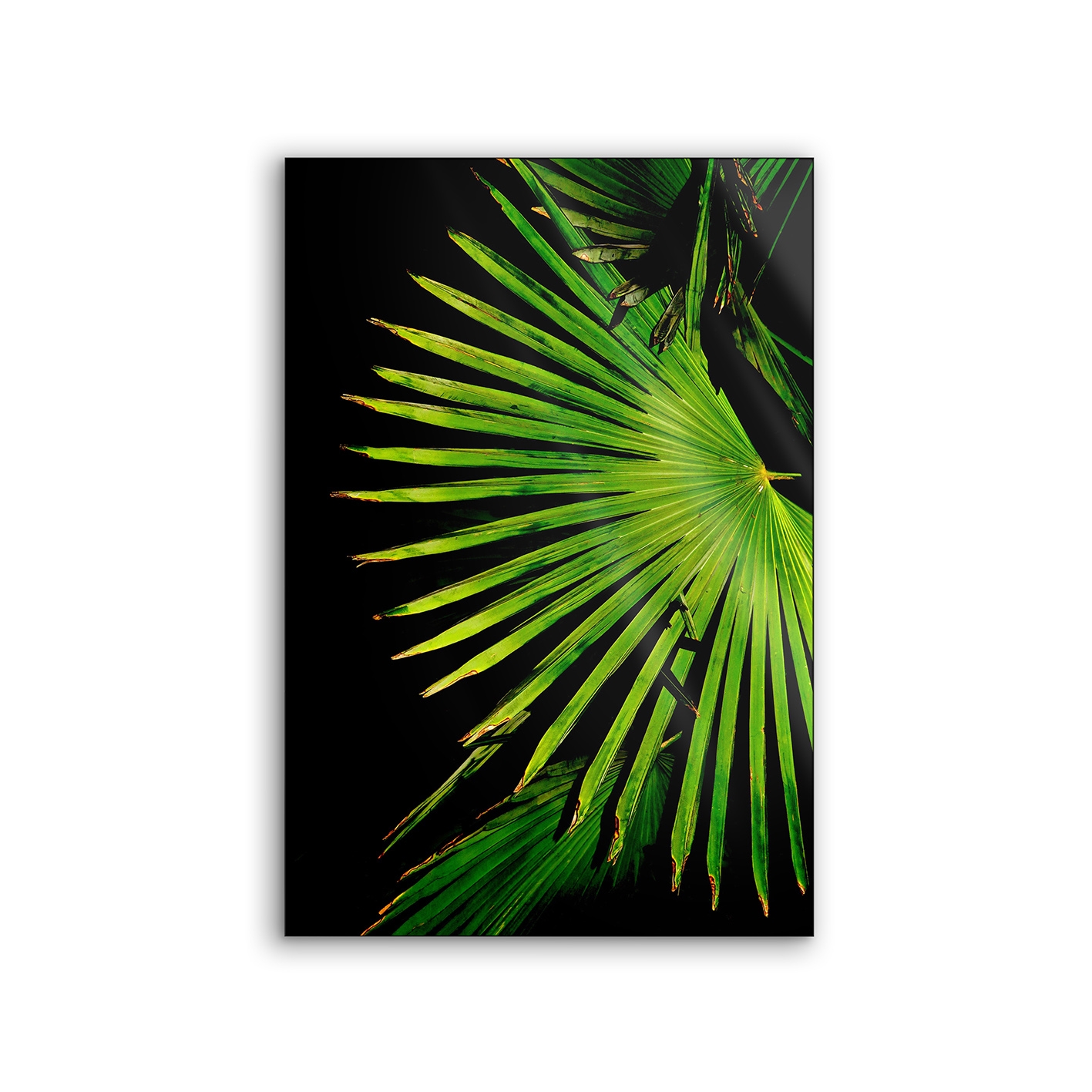 Lumaframe | NCD-EBG11-LU