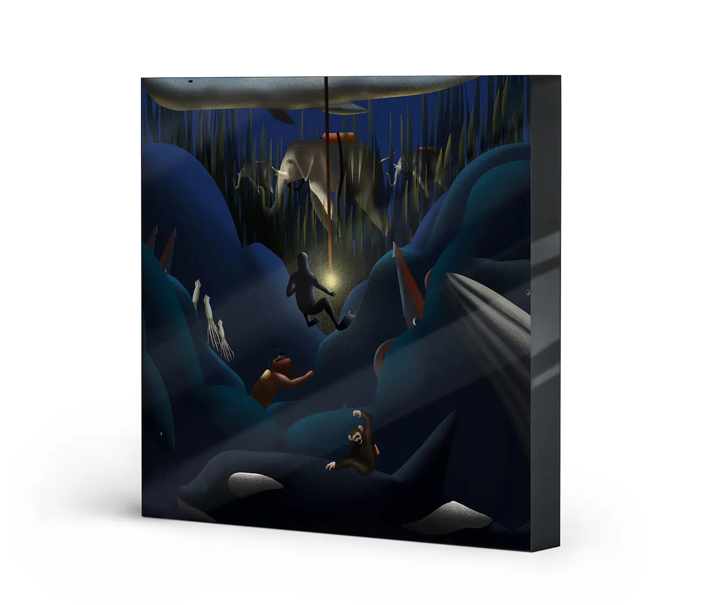 NC Design Group® - Lumaframe | NCD-FAB01-LU