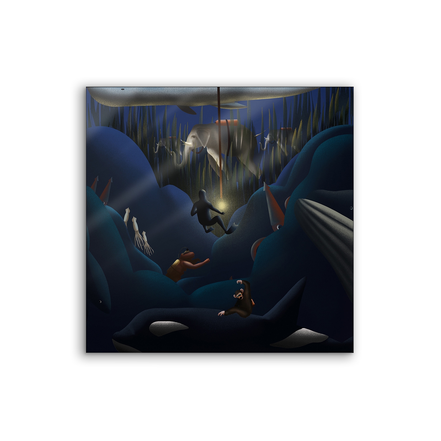 Lumaframe | NCD-FAB01-LU