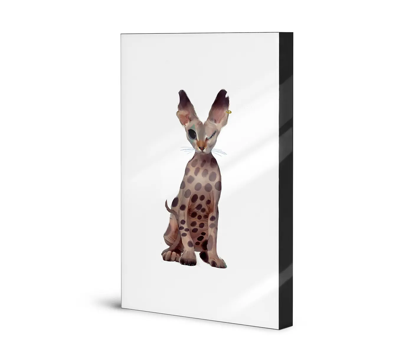 NC Design Group® - Lumaframe | NCD-IGP06-LU