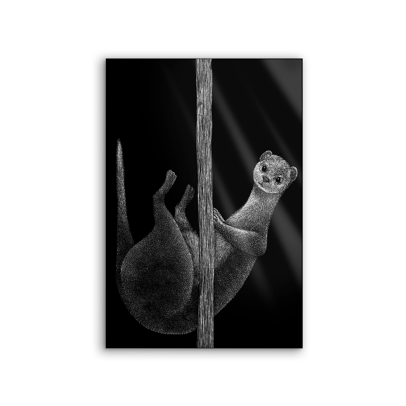 Lumaframe | NCD-LMR02-LU