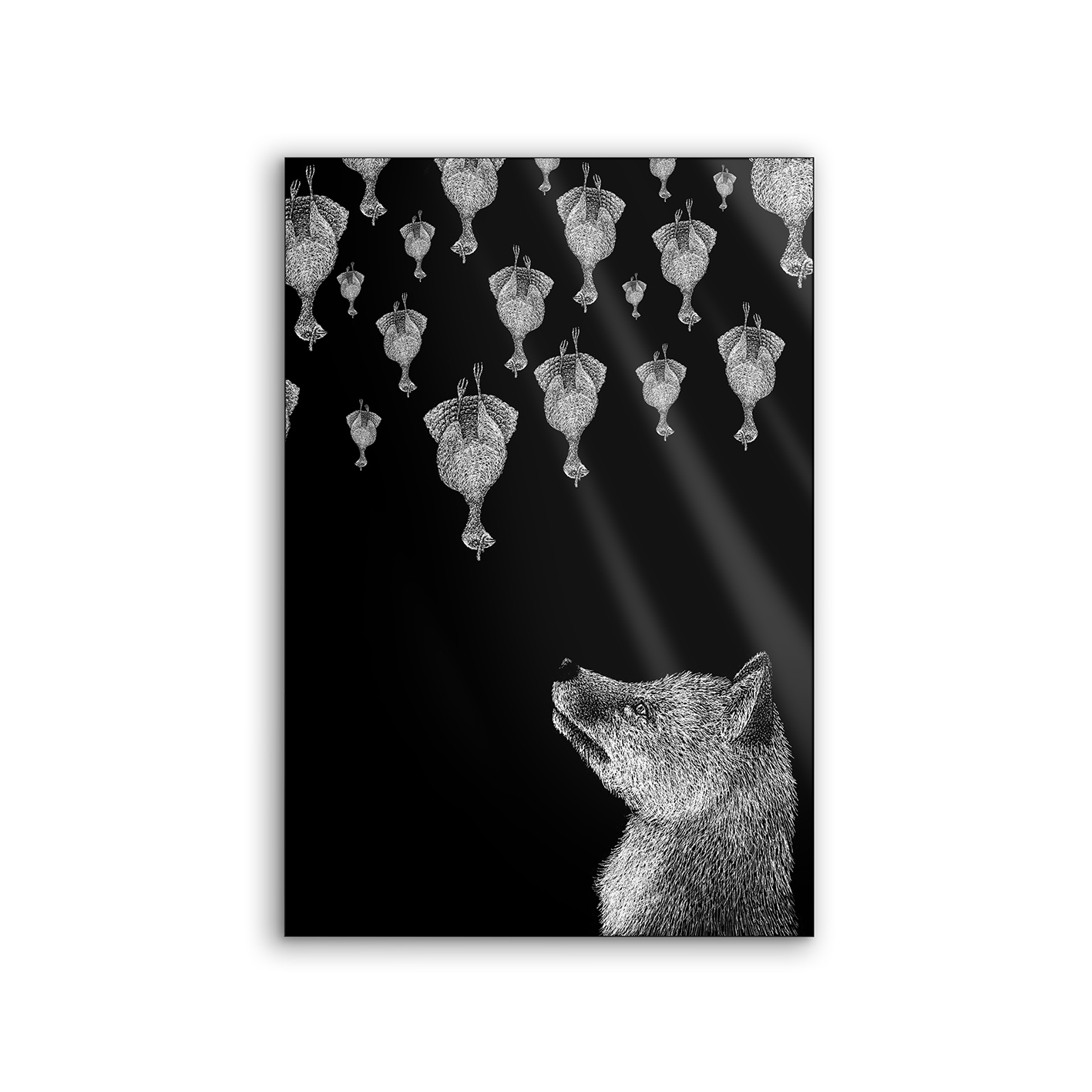 Lumaframe | NCD-LMR08-LU