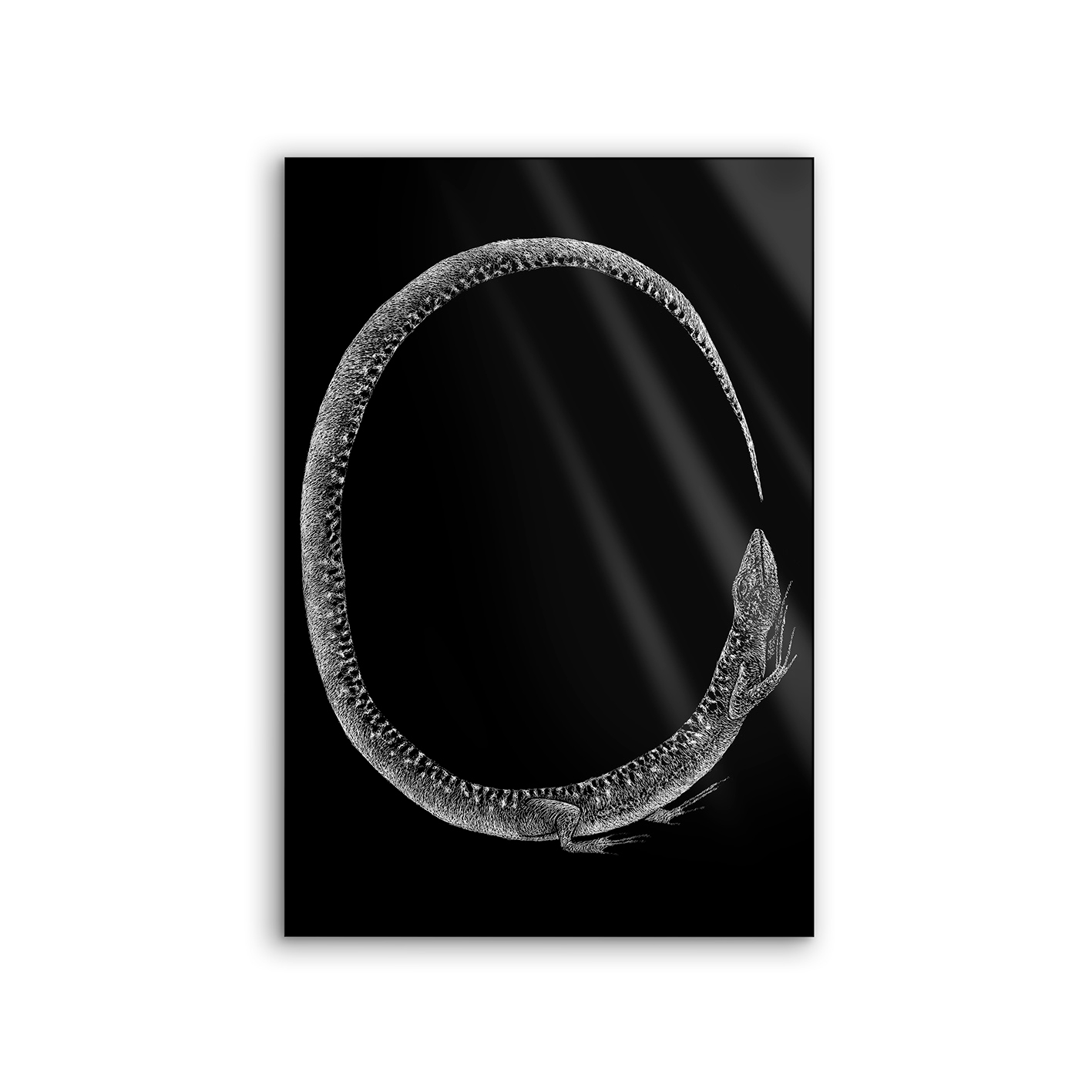 Lumaframe | NCD-LMR09-LU