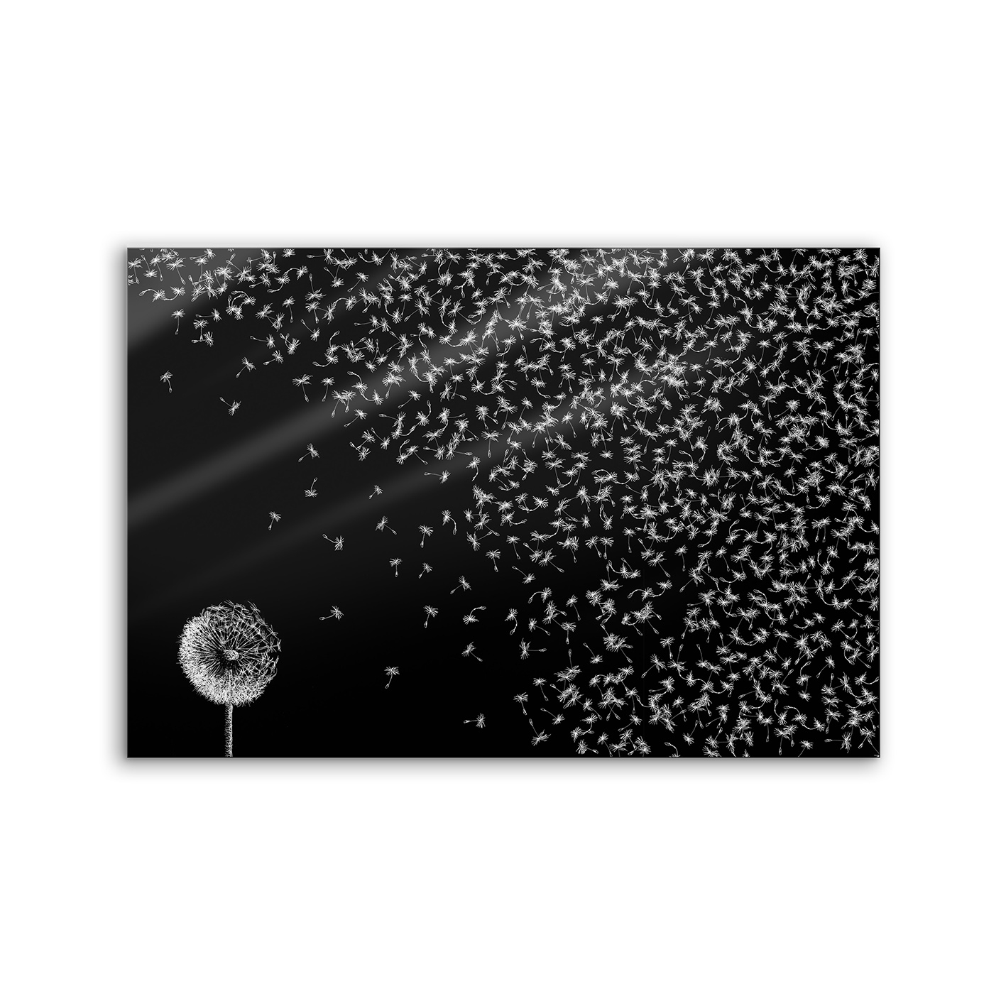 Lumaframe | NCD-LMR11-LU