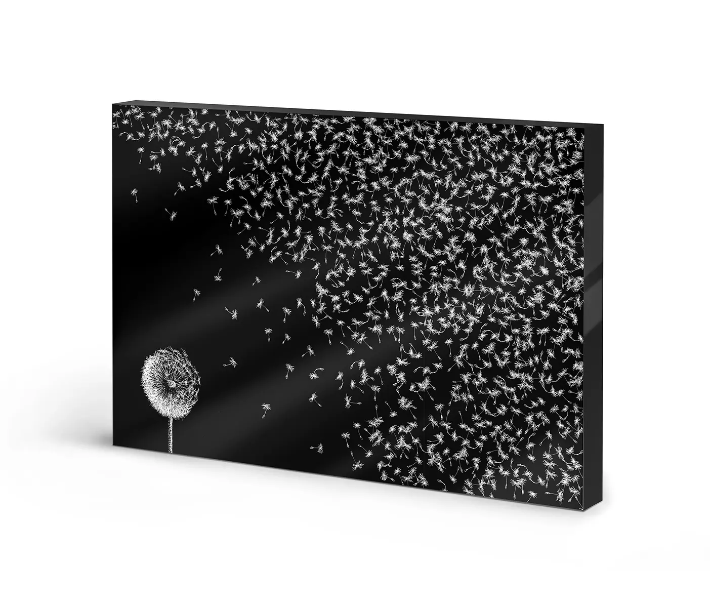 NC Design Group® - Lumaframe | NCD-LMR11-LU