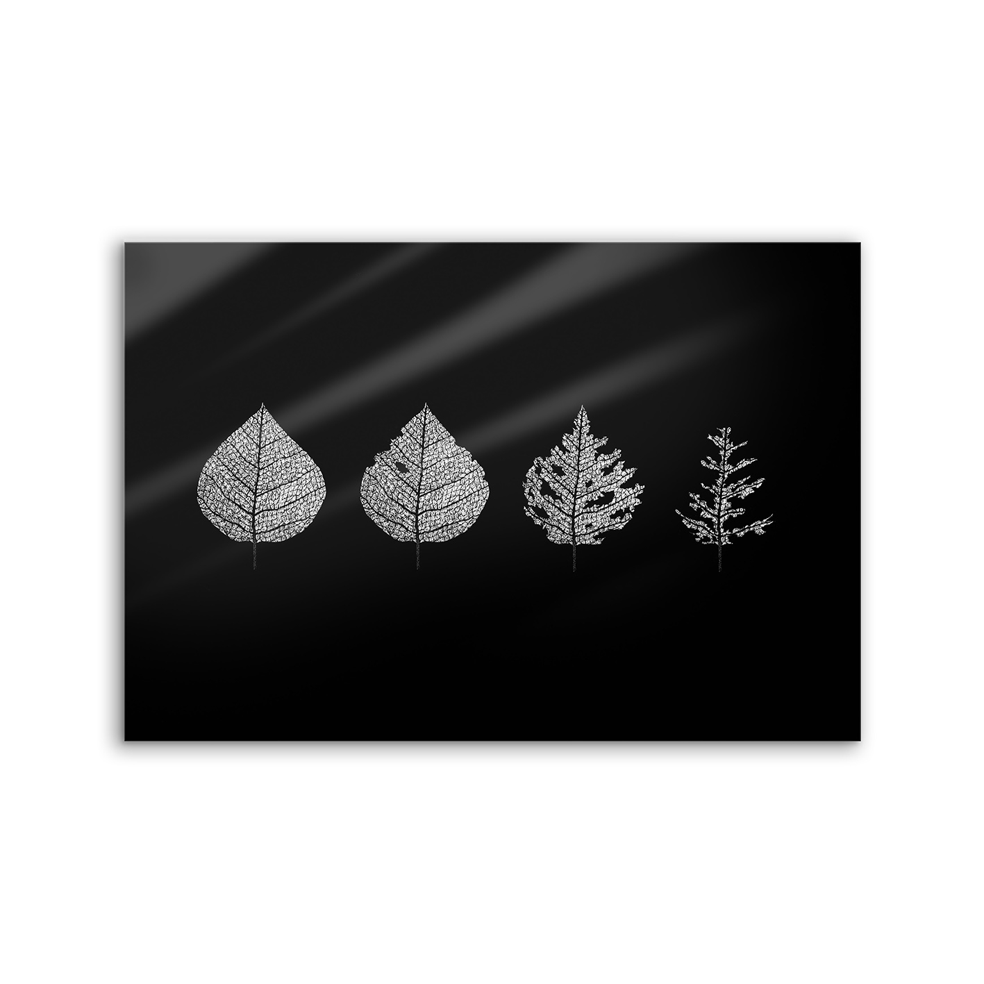 Lumaframe | NCD-LMR12-LU