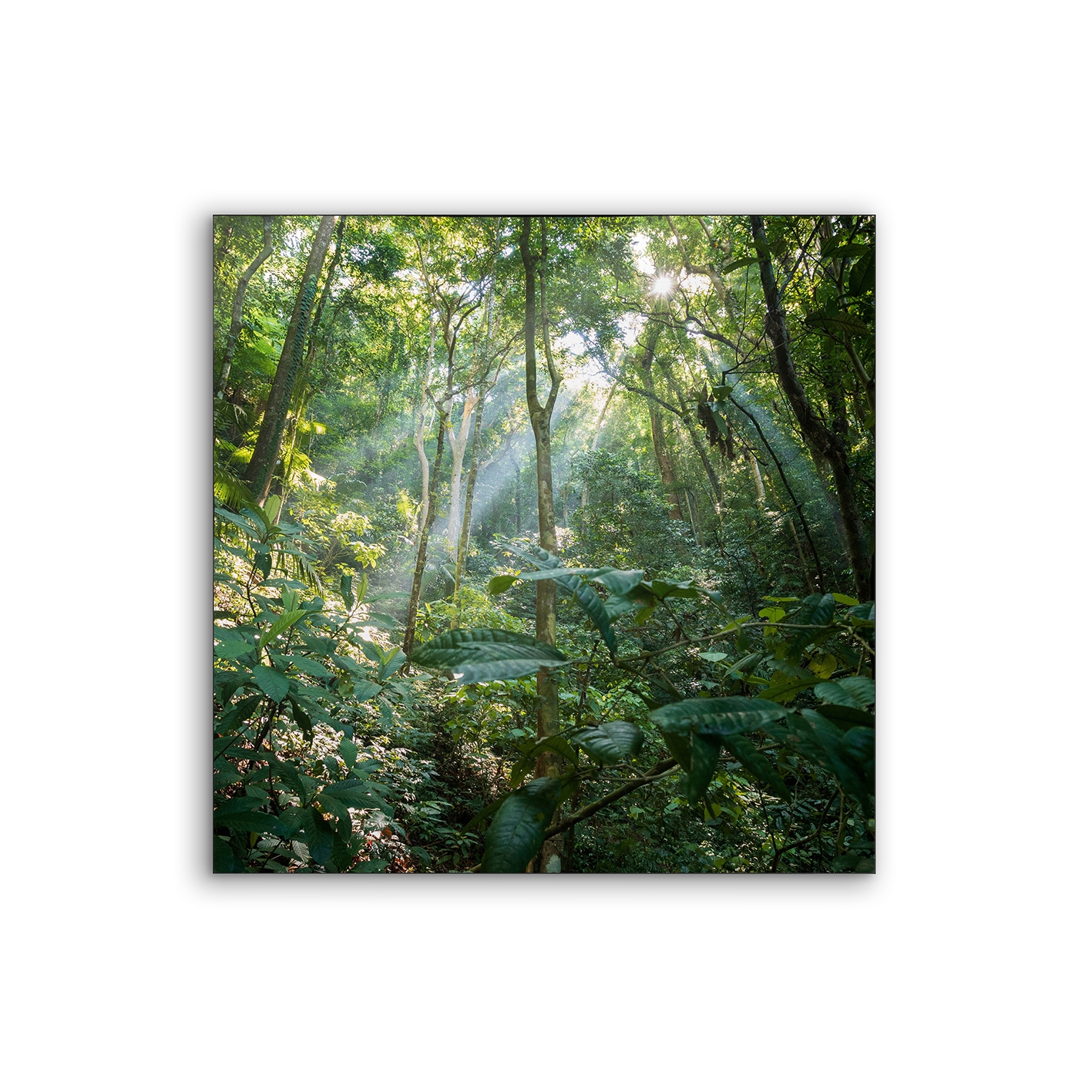 Lumaframe | NCD-MFV09-LU