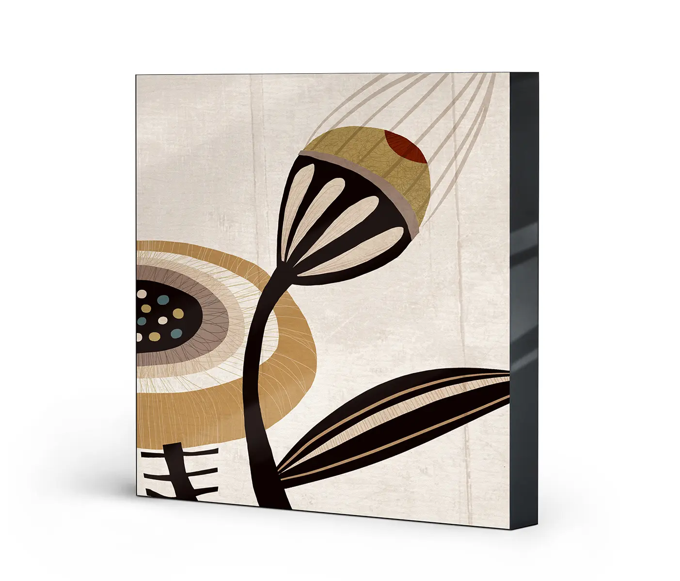 NC Design Group® - Lumaframe | NCD-MPF13-LU