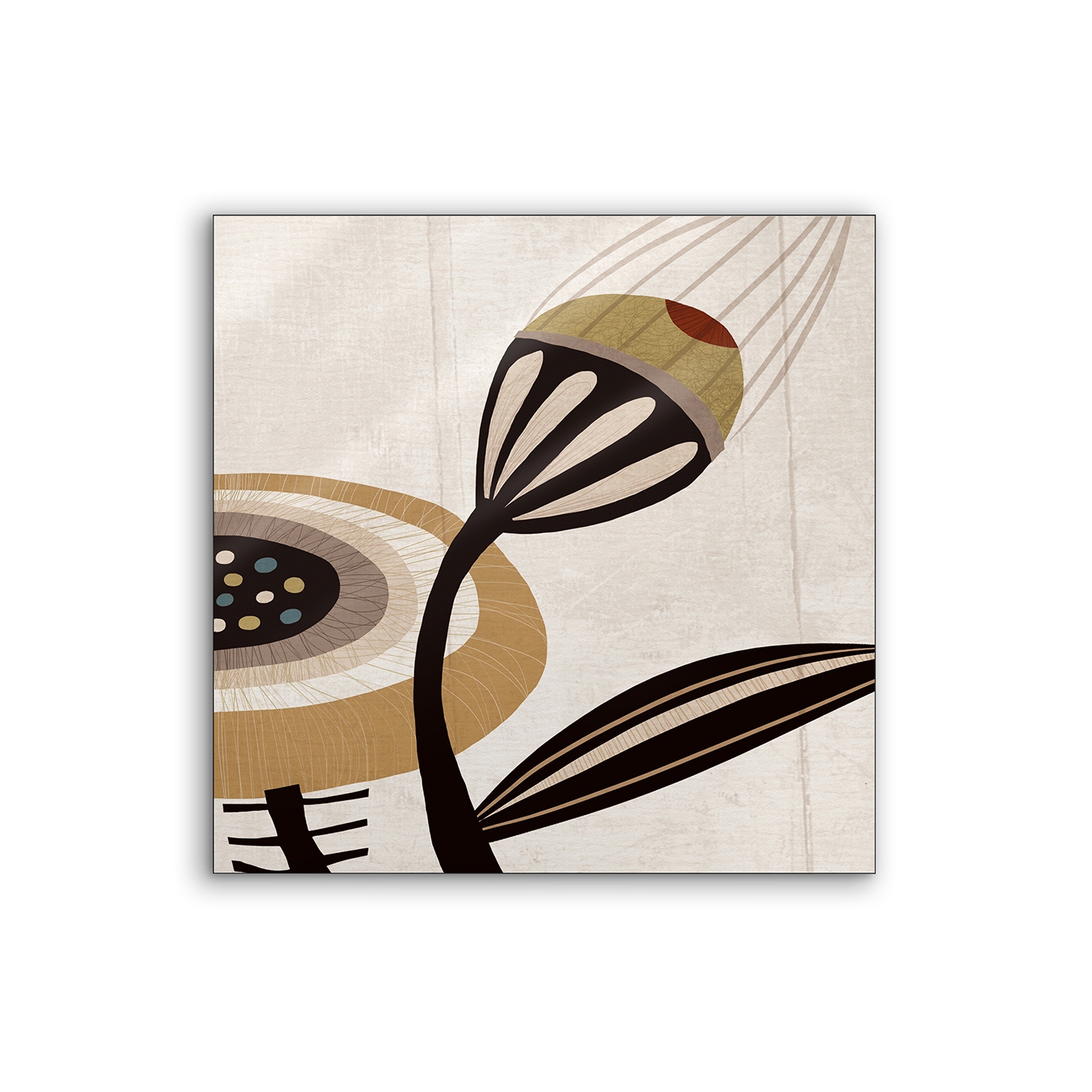 Lumaframe | NCD-MPF13-LU