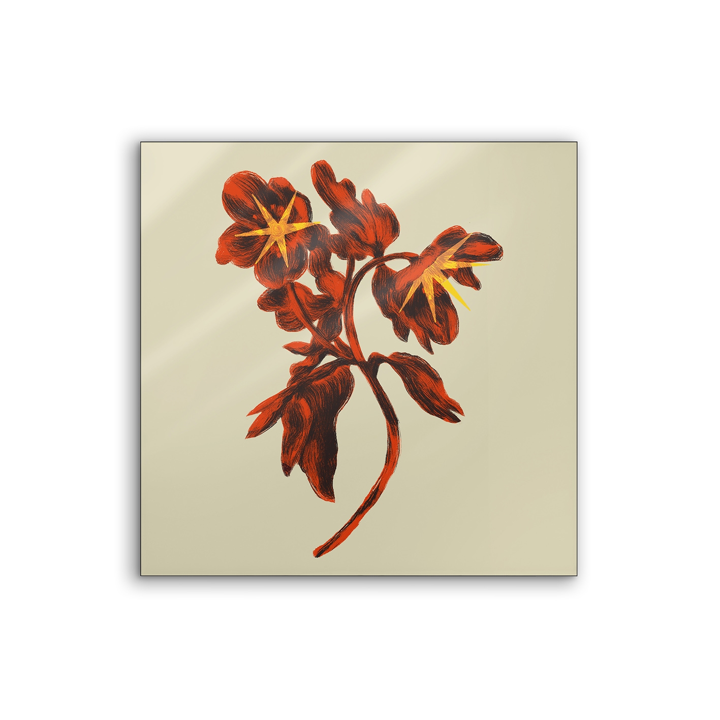 Lumaframe | NCD-NDT01-LU