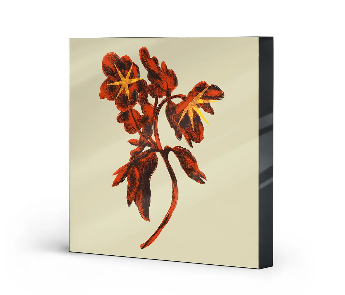 NC Design Group® - Lumaframe | NCD-NDT01-LU