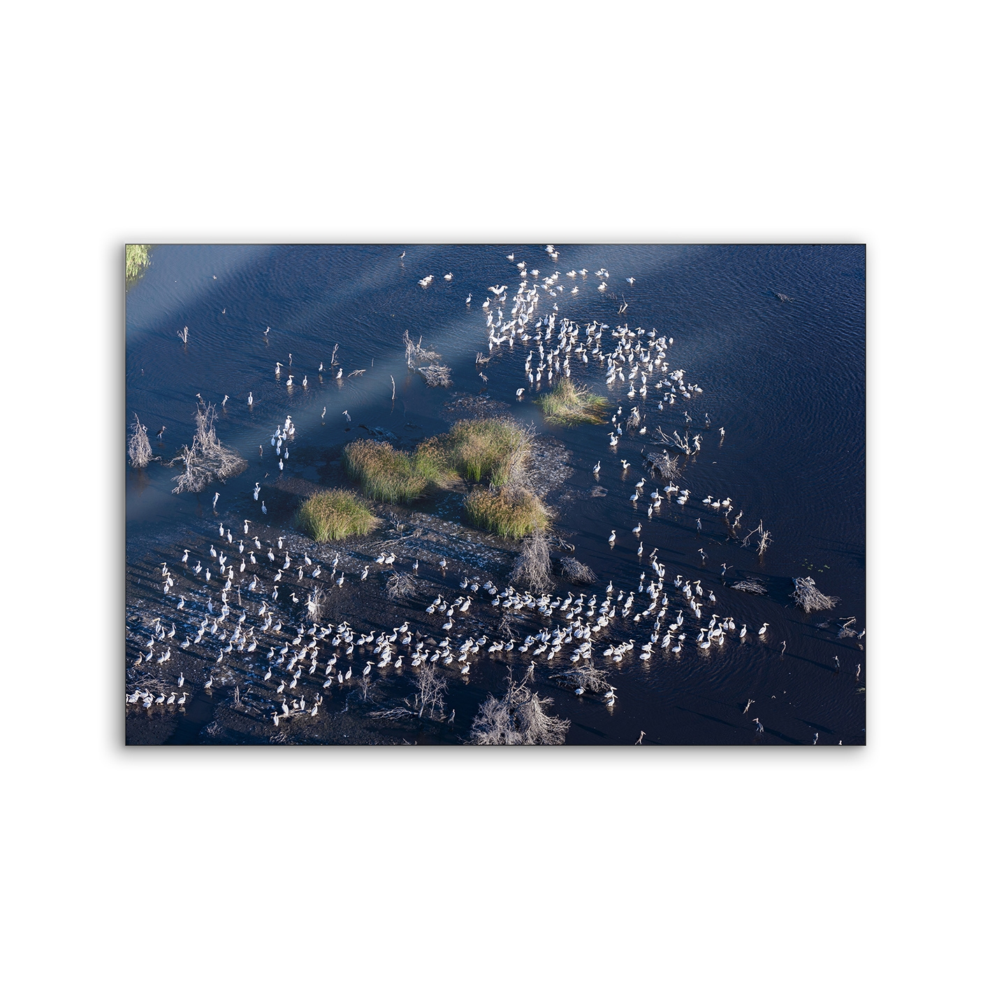 Lumaframe | NCD-PTZ07-LU