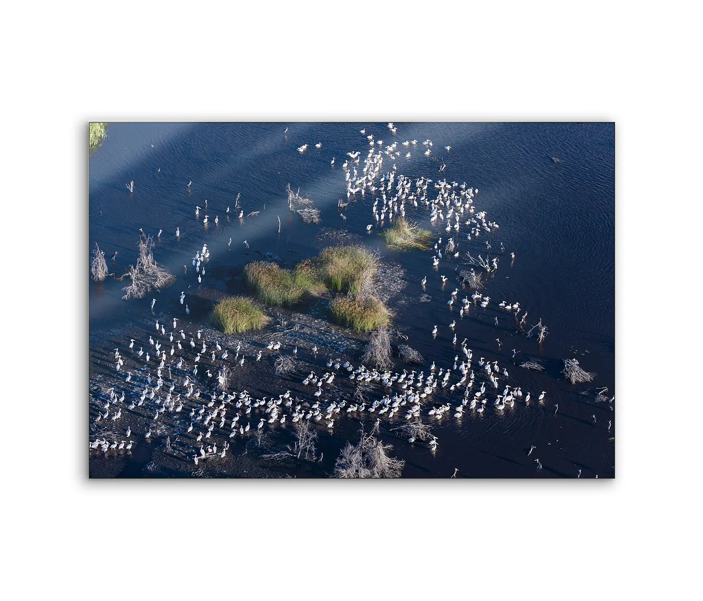 NC Design Group® - Lumaframe | NCD-PTZ07-LU