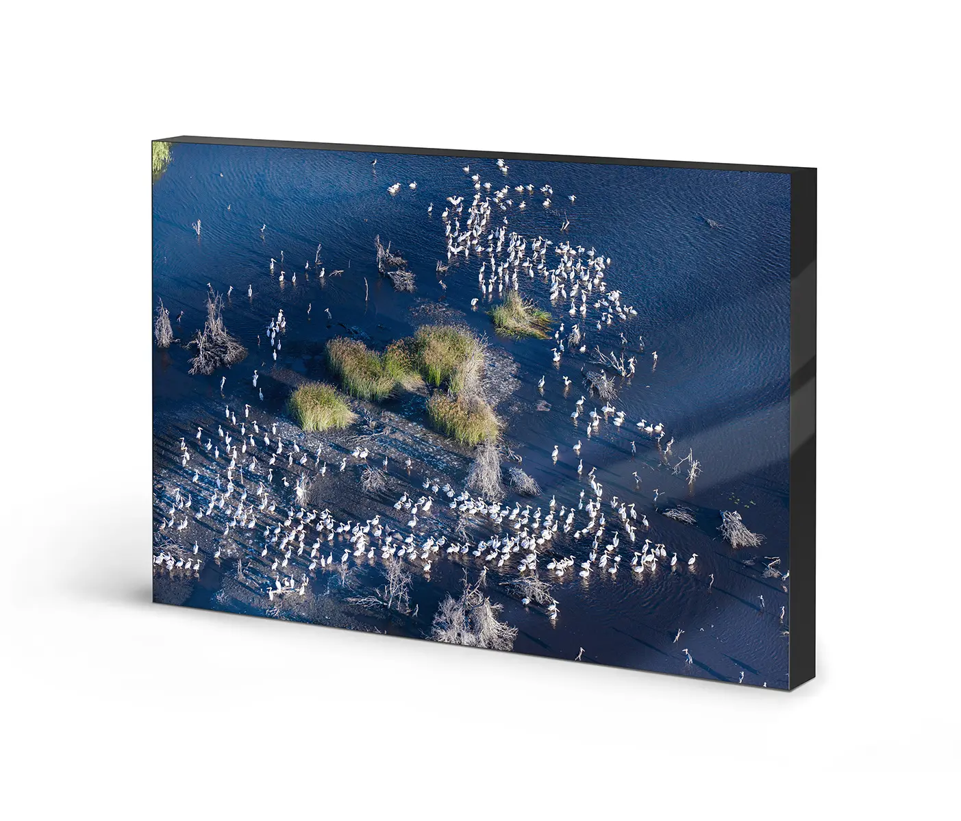 NC Design Group® - Lumaframe | NCD-PTZ07-LU