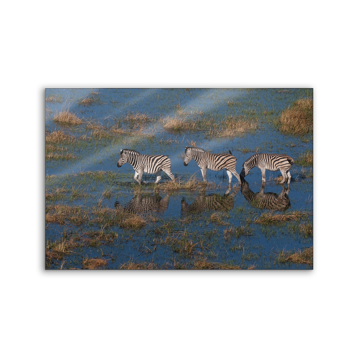 Lumaframe | NCD-PTZ08-LU