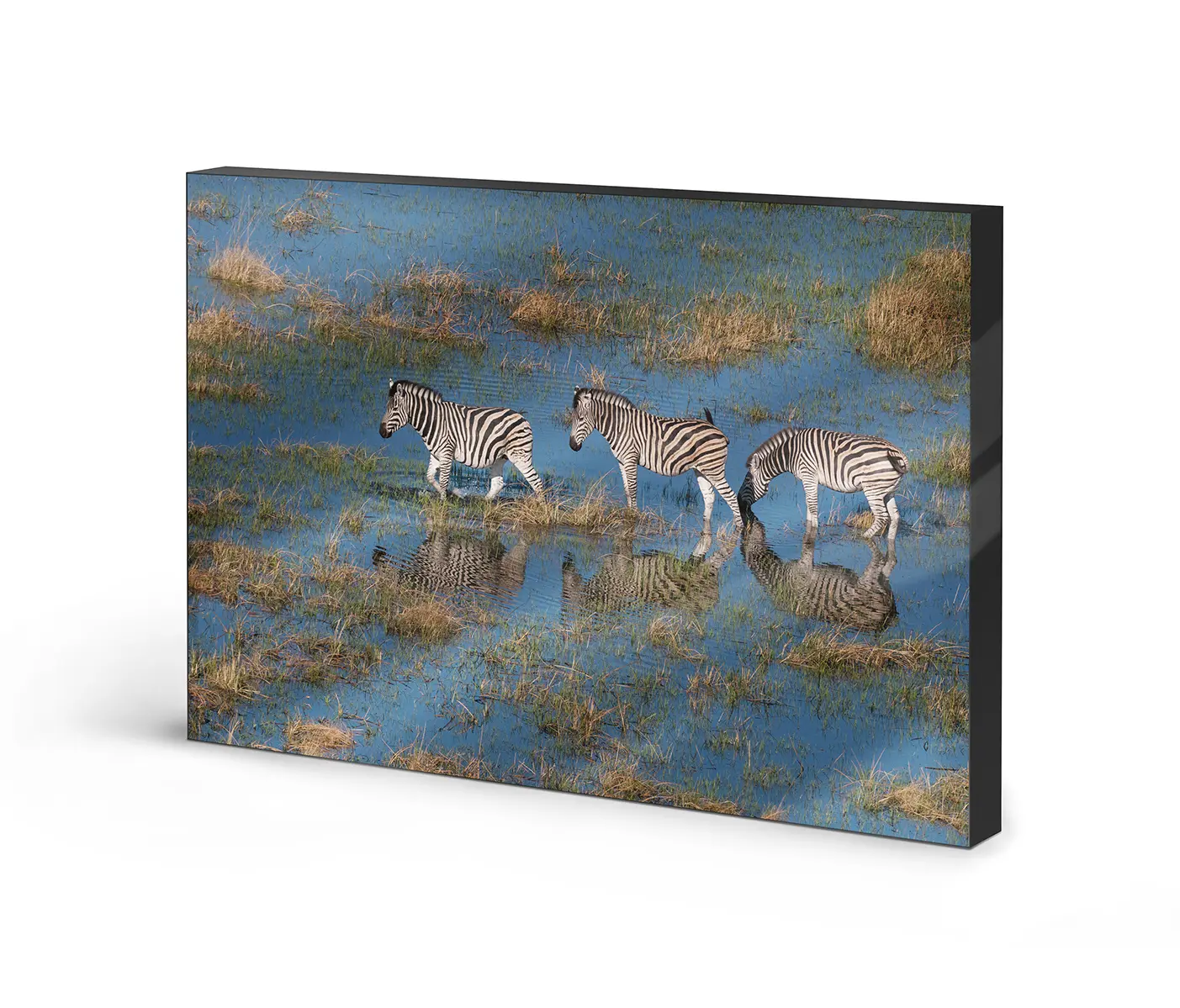 NC Design Group® - Lumaframe | NCD-PTZ08-LU