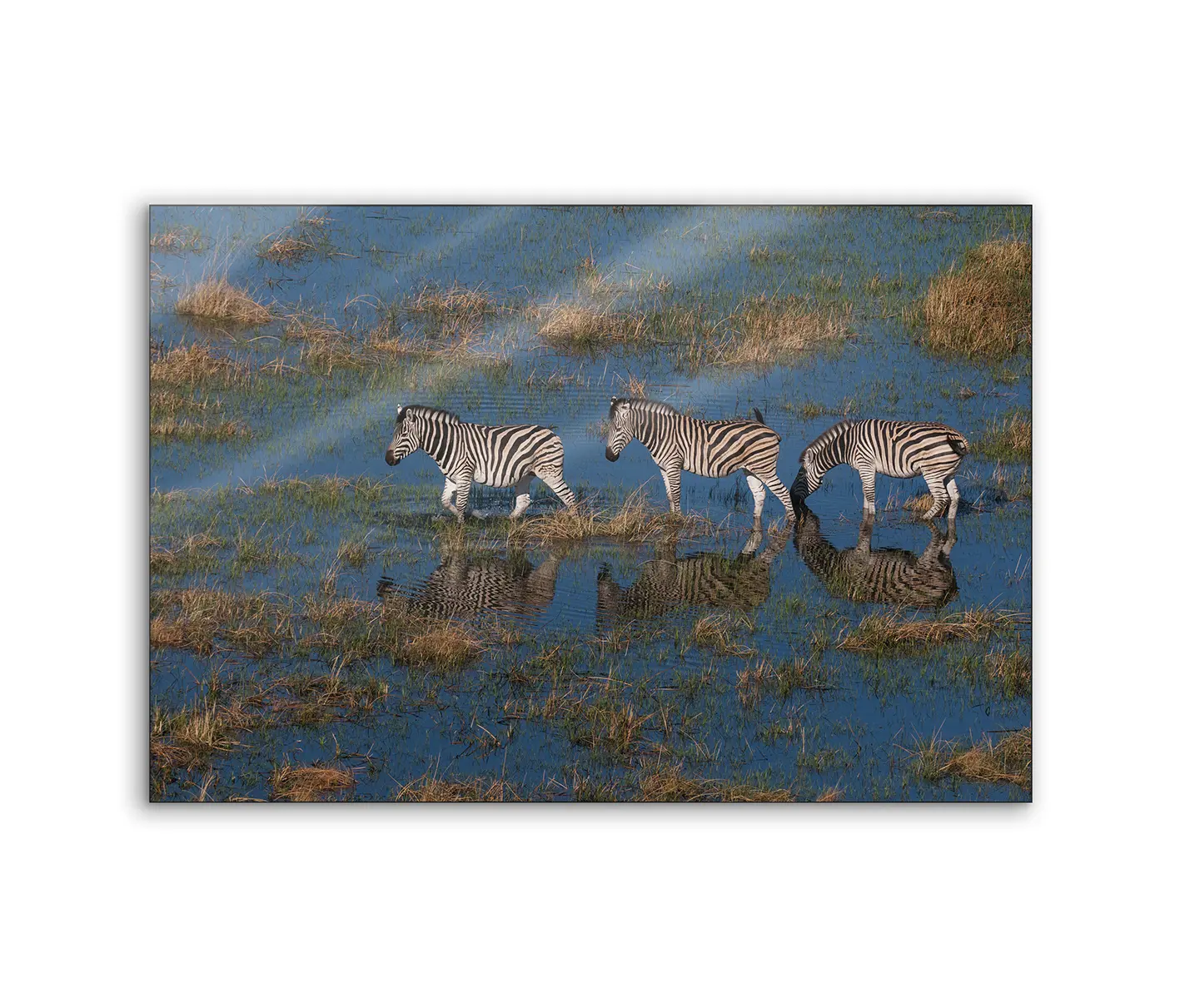 NC Design Group® - Lumaframe | NCD-PTZ08-LU