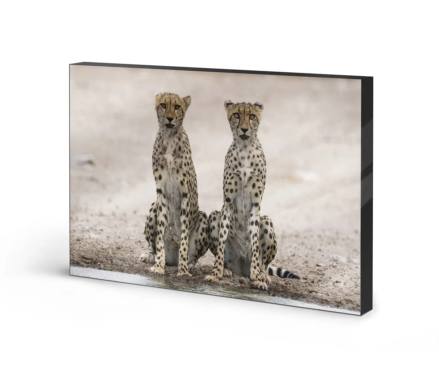 NC Design Group® - Lumaframe | NCD-PTZ09-LU