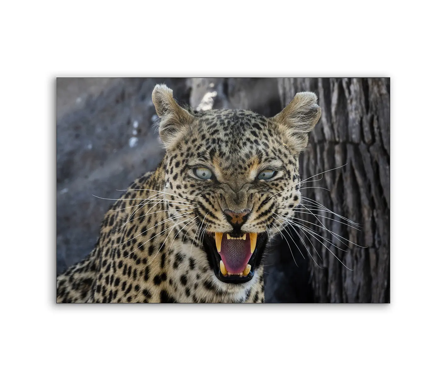 NC Design Group® - Lumaframe | NCD-PTZ10-LU