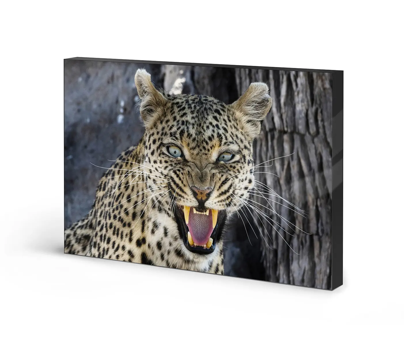 NC Design Group® - Lumaframe | NCD-PTZ10-LU