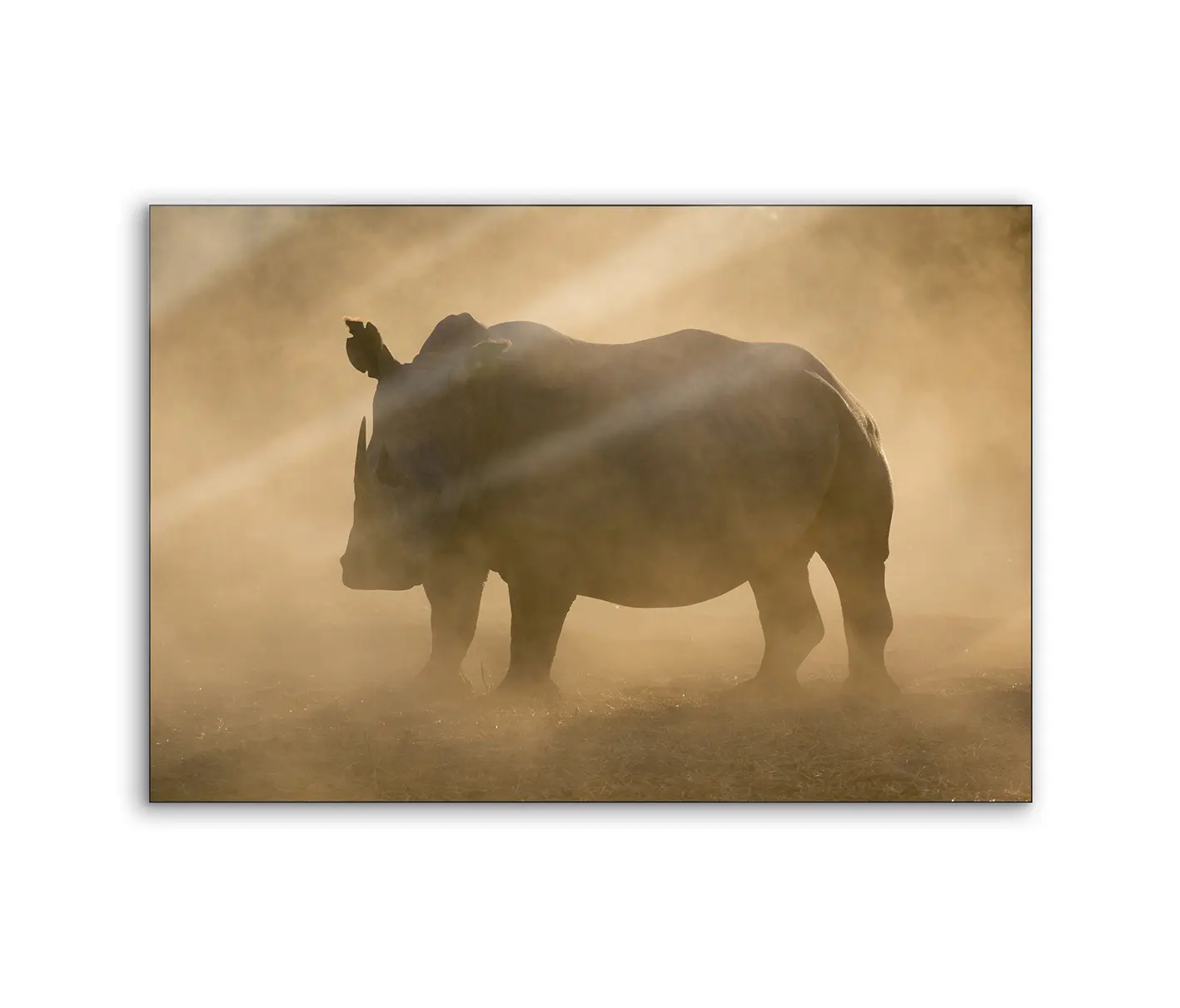 NC Design Group® - Lumaframe | NCD-PTZ11-LU