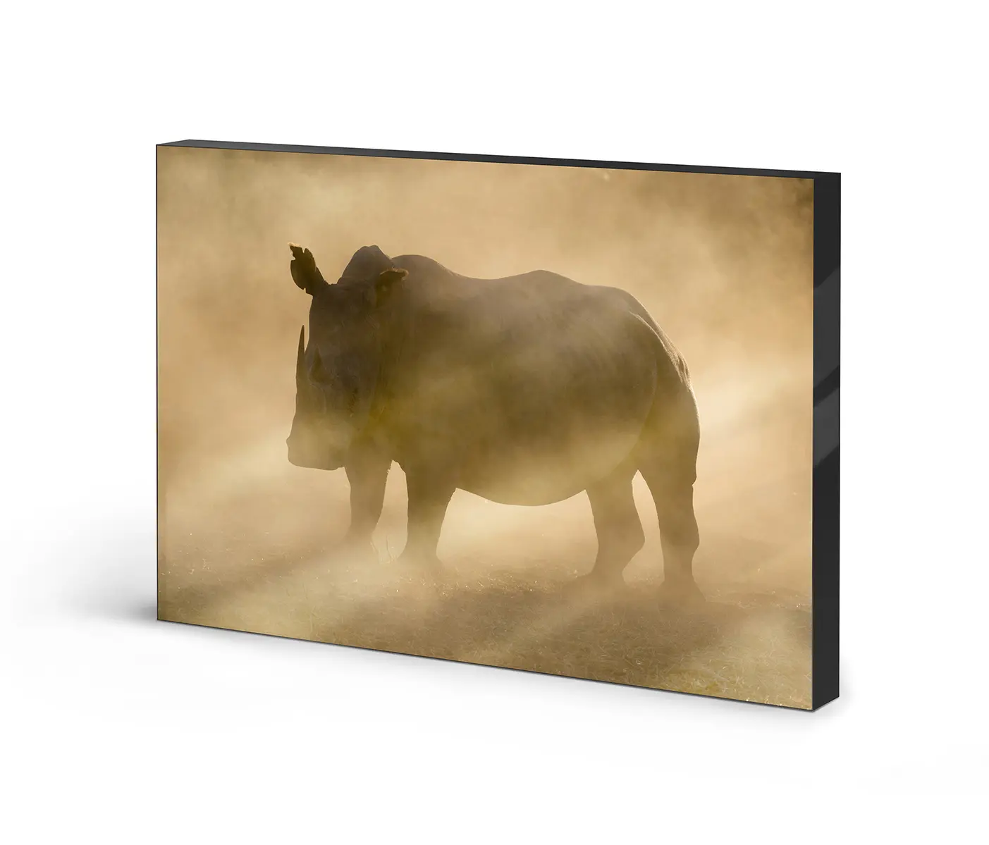 NC Design Group® - Lumaframe | NCD-PTZ11-LU