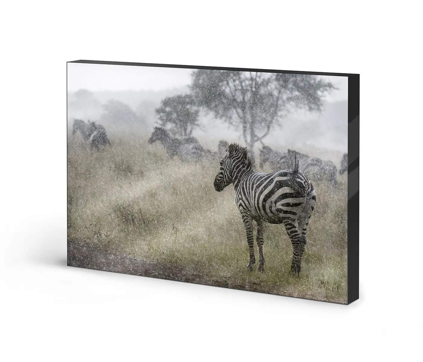 NC Design Group® - Lumaframe | NCD-PTZ45-LU