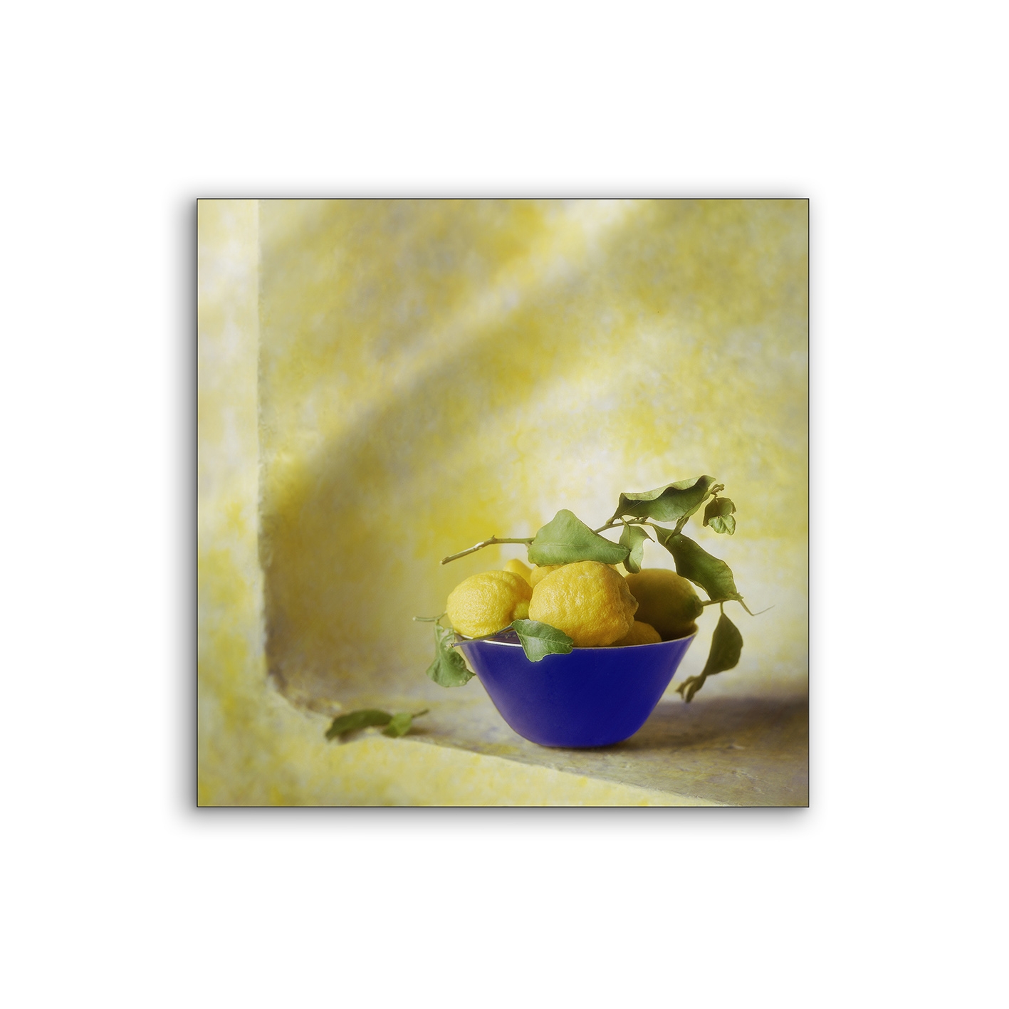 Lumaframe | NCD-RNC06-LU