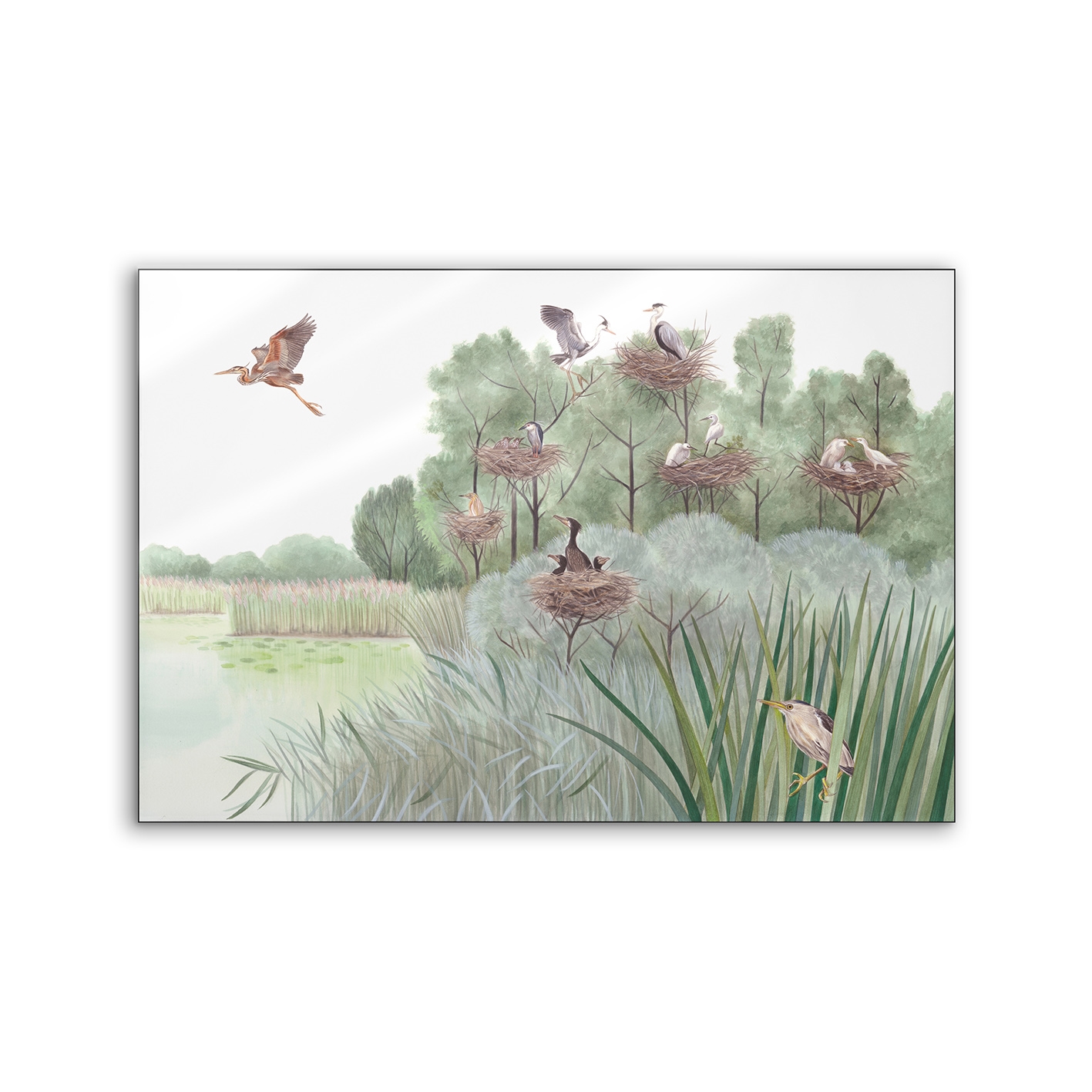 Mostrar el producto Lumaframe | NCD-SLU02-LU del fabricante NC Design Group®