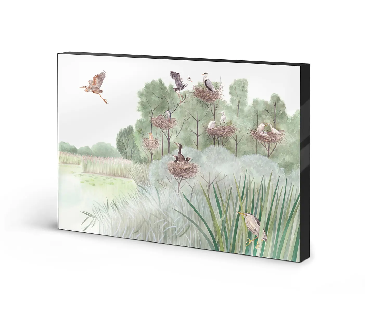 NC Design Group® - Lumaframe | NCD-SLU02-LU