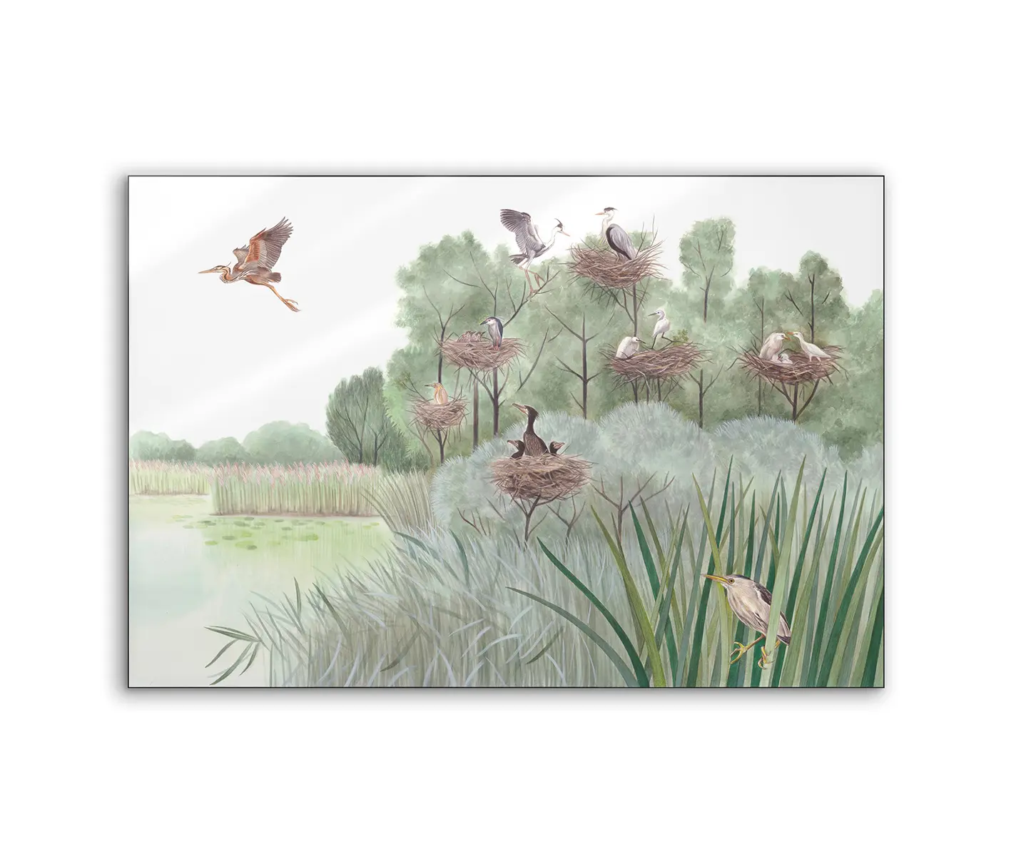 NC Design Group® - Lumaframe | NCD-SLU02-LU