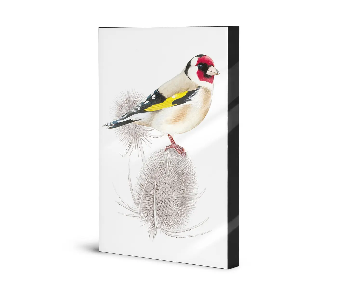 NC Design Group® - Lumaframe | NCD-SLU05-LU