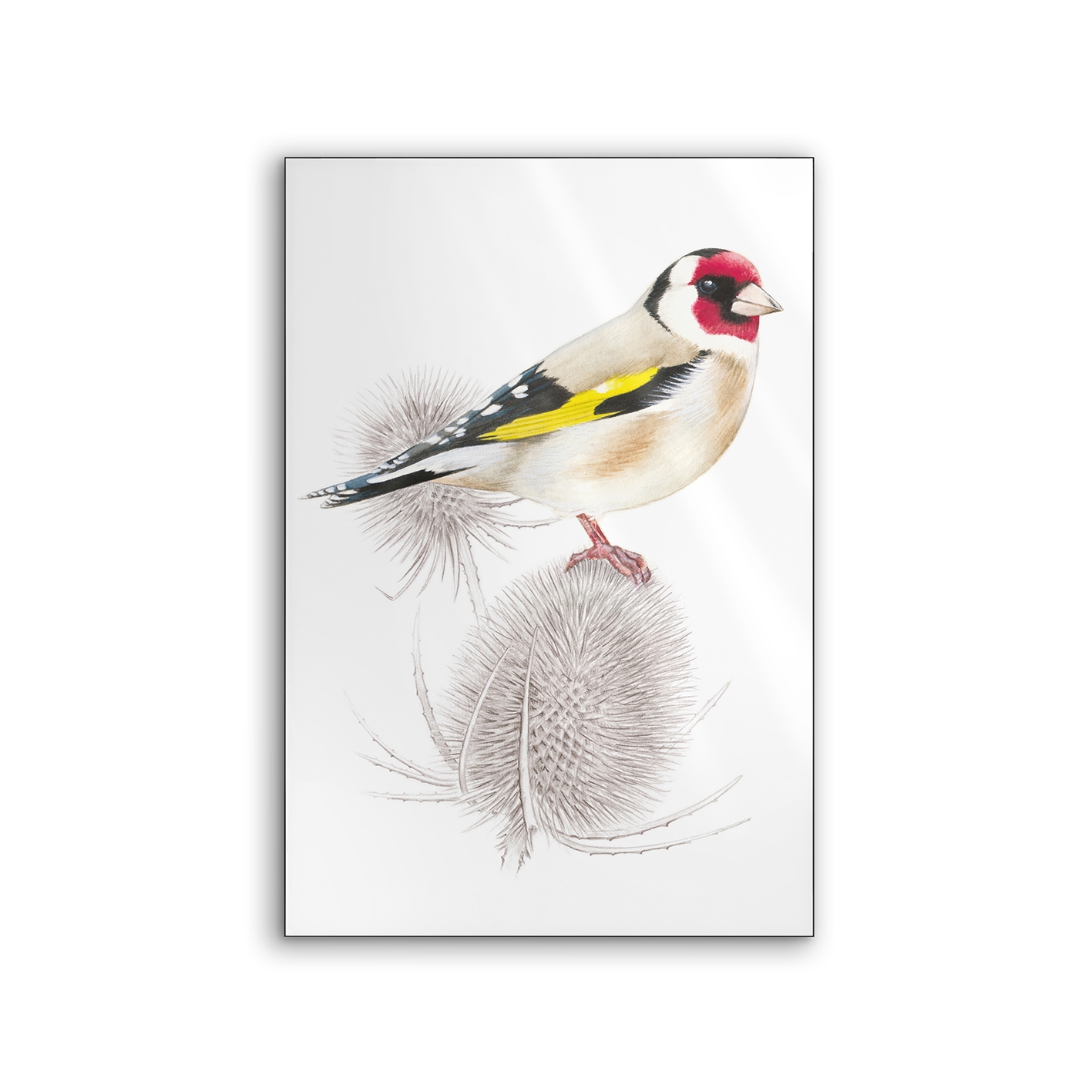 Lumaframe | NCD-SLU05-LU