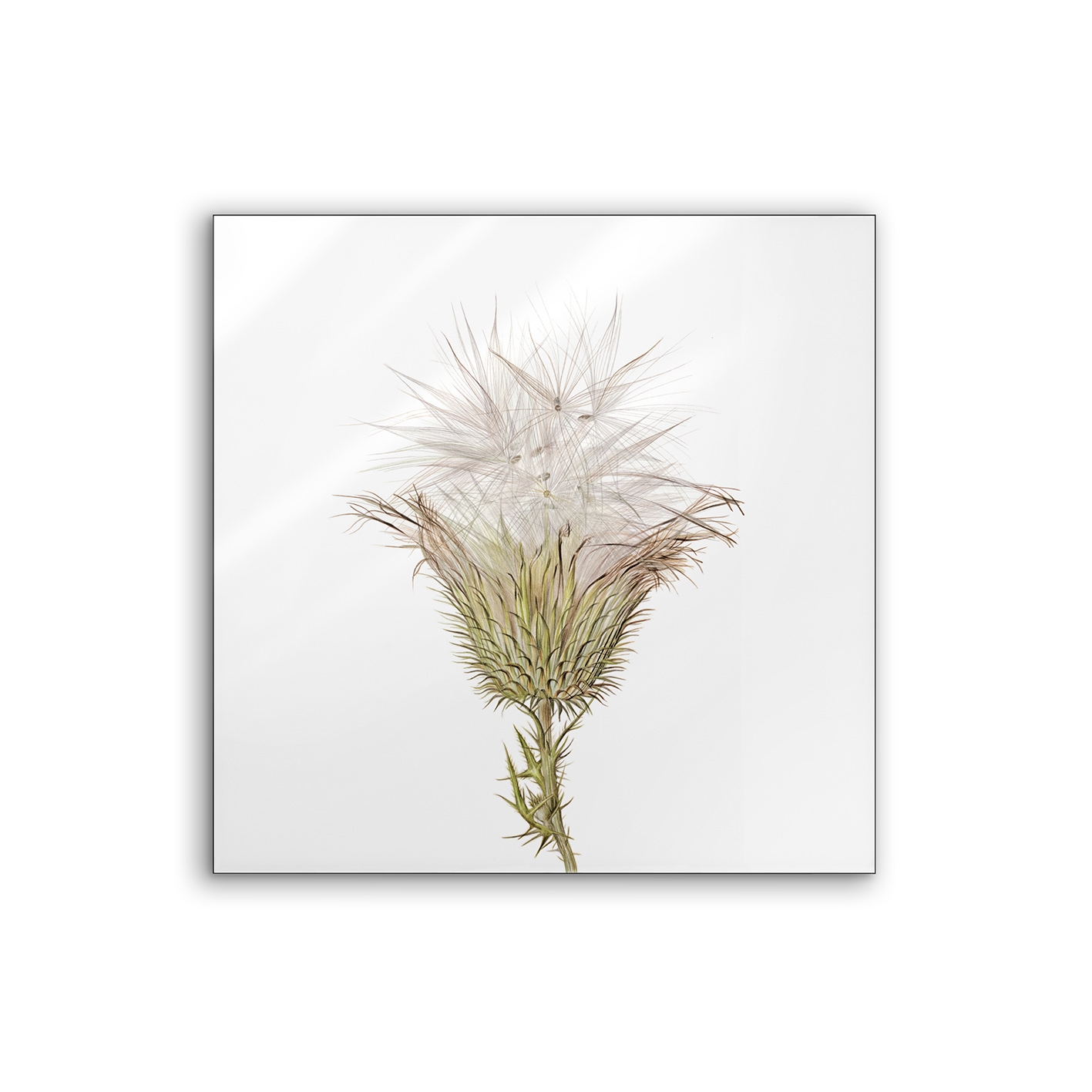 Lumaframe | NCD-SLU07-LU