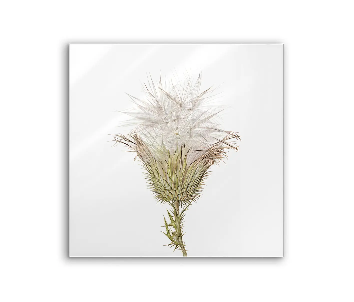 NC Design Group® - Lumaframe | NCD-SLU07-LU